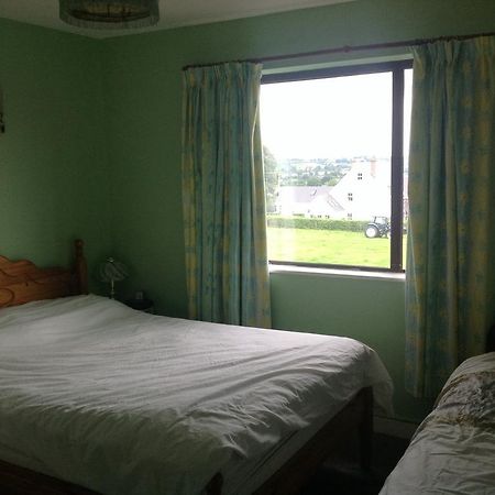 Hill View B&B Silvermines Buget Accomodation Exterior foto