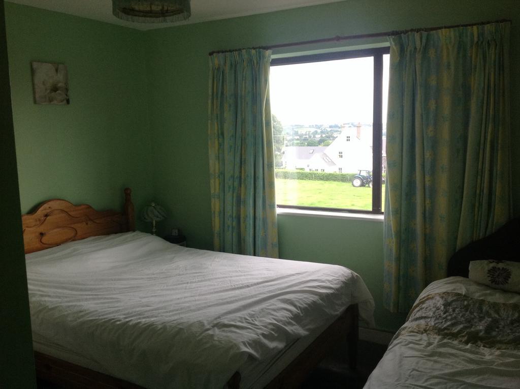 Hill View B&B Silvermines Buget Accomodation Exterior foto